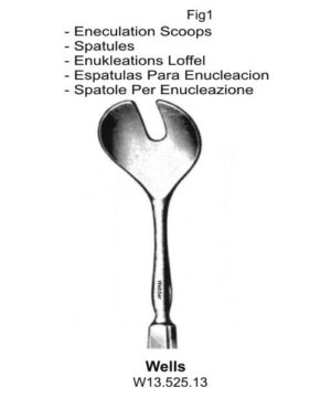 Wells Eneculation Scoops