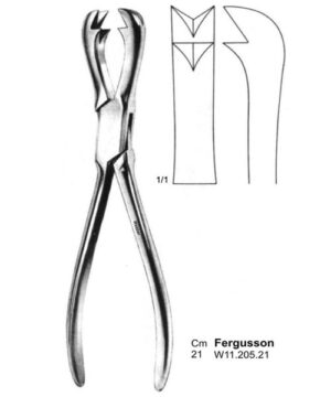 Fergusson Bone Holding Forceps