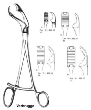 Verbrugge Bone Holding Forceps