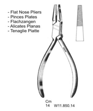 Flat Nose Pliers