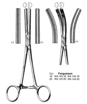 Fergusson Angiotribes Forceps