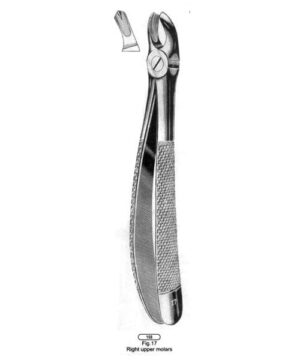 TOOTH EXTRACTING FORCEPS 17