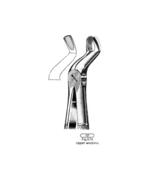 TOOTH EXTRACTING FORCEPS 67A