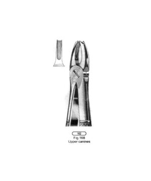 TOOTH EXTRACTING FORCEPS 168