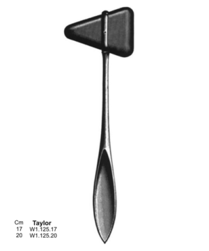 Taylor Hammers 17cm