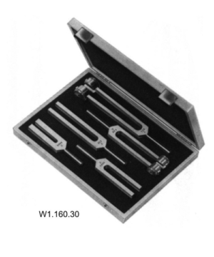 Tuning Forks set