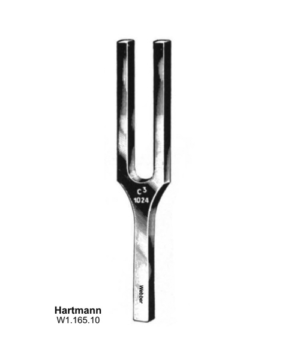 Tuning Forks